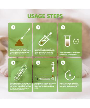 ISENVO Rapid Detection of Giardia in Dogs and Cats - Giardia Test Reliable Detection of Intestinal Parasites and Diarrhea - Used for Giardia in Dogs and Cats (2pcs) - Buy Online on GoSupps.com