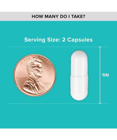 Qunol Magnesium Capsules 420mg 100% DV High Absorption Magnesium Supplement Extra Strength Bone and Muscle Health Supplement 180 Count 180 Count (Pack of 1) - Buy Online on GoSupps.com