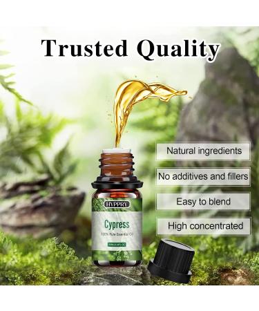 Hyppry Woody Essential Oils Set - 6x10ml Premium Natural Aromatherapy Oils for Diffuser & Home Fragrance - Sandalwood, Cedarwood, Cypress, Pine, Teakwood, Agarwood - Buy Online on GoSupps.com