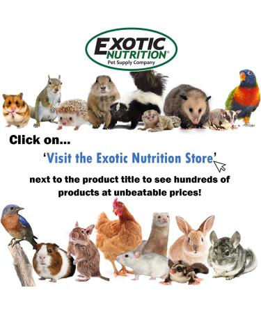 High Protein Glider Complete Diet - 2 lb Nutritionally Balanced Sugar Glider Food - Buy Online on GoSupps.com