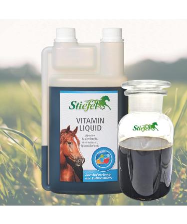 Stiefel Vitamin Liquid 1 l - Buy Online on GoSupps.com