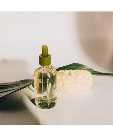 ideelz XFO Sea Sponge (Medium 4.5) - All Natural Yellow Loofah Sponge for Bathing and Exfoliating | USA Grown - Buy Online on GoSupps.com