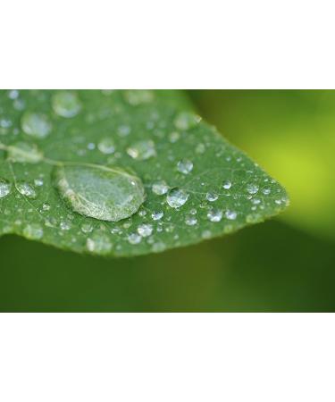 Leica Q (Typ 116) & Q2 10x High Definition Macro Lens - Buy Online on GoSupps.com