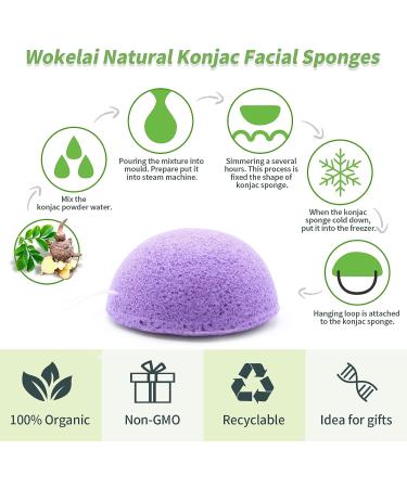 Organic Konjac Facial Sponges for Cleansing and Exfoliating - 6 Pack Konjac Face Sponge for Face and Body, Natural Cleaning Puff Scrubber for Shower, Bath, and Spa - Men, Women, Babies - Buy Online on GoSupps.com