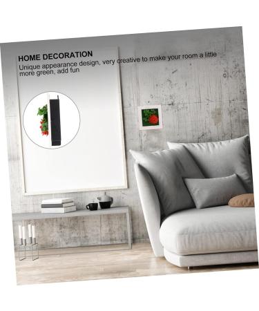 HOMSFOU 1pc Plant Photo Frame Plants Picture Frames Home Decor Succulent Plant Housewarming Gift Artificial Succulent Wall Art Plant Photo Frame Wall Household Plastic Red 15.5X15.5CM - Buy Online on GoSupps.com