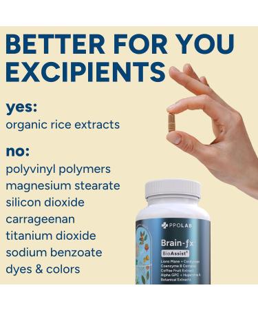 PPO Lab Brain-fx Nootropic Neuro Supplements for Adults with Vitamins Alpha GPC Lion s Mane Cordyceps Extended-Release Concentration & Brain Health Non-GMO USA Made 60 Capsules 60 Count (Pack of 1) 2 Capsules per  - Buy Online on GoSupps.com