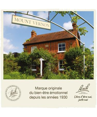 Bach Original Flower Remedies - Star of Bethlehem Drops 20ml | Natural Stress Relief & Emotional Support - Buy Online on GoSupps.com