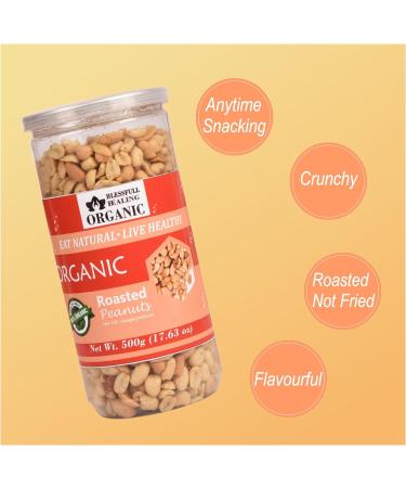 Blessfull Healing Organic Natural Vegan Sea Salt Vinegar Roasted Peanuts Crunchy Healthy Snacks 500 Gram - Buy Online on GoSupps.com