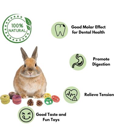 Lacrima Rabbit Chew Toys Donuts 13PCS - Natural Bunny & Guinea Pig Teeth Health Treats - Buy Online on GoSupps.com