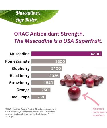 USA Muscadine Quercetin, Ellagic Acid, Resveratrol, Myricetin, Kaempferol & BioPerine - Time Release Capsules for Extra Bioavailability - Vegan - Non GMO - Gluten Free - Made in USA - Buy Online on GoSupps.com