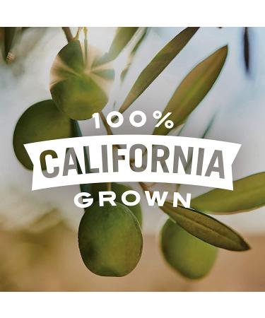 Early California  Ripe Pitted  Large Black Olives  6 oz  6-Cans Large Black Olives 6 Cans - Buy Online on GoSupps.com