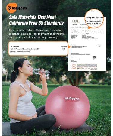 GalSports Pregnancy Ball - Birthing Ball for Workout Yoga Stability | Maternity Physio & Recovery Plan | Labor Exercise Ball with Quick Pump - Rose Red - Size L (58-65cm) - Buy Online on GoSupps.com