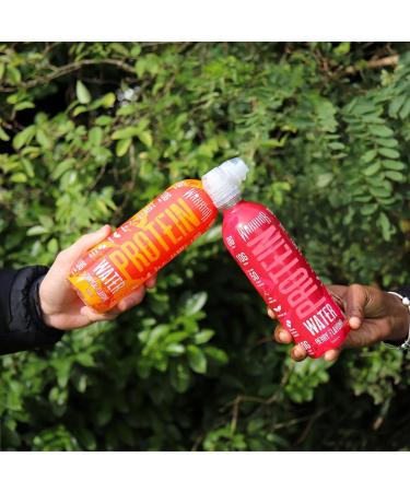 Warrior Protein Water 10g 12 x 500ml Collagen Peptides Hydrate Sports Drink Less Than 50 Calories per Serving Contains Essential Vitamins Aspartame Free (Berry) Berry 500 ml (Pack of 1) - Buy Online on GoSupps.com
