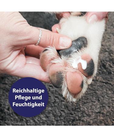 Canosept Pfot Care for Dogs 75g - Ultimate Paw Care Cream for Soft & Protected Paws in Any Weather - Buy Online on GoSupps.com