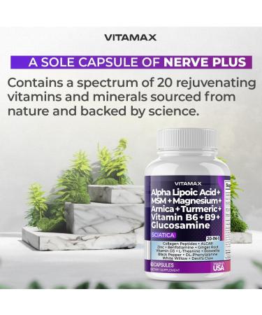 Sciatic Nerve Health Support - Sciatic Nerve Supplement Capsules with Folic Acid Pea Glucosamine MSM Vitamin B Complex Alpha Lipoic Acid 300mg 60ct Made in USA 60 Count (Pack of 1) - Buy Online on GoSupps.com
