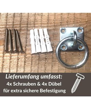 High-Quality Stainless Steel Tie Rings for Horse & Cattle - Durable Fastening Hooks & Eye Plates (2-Pack) - Buy Online on GoSupps.com