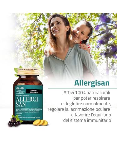 Salugea ALLERGISAN Salugaa - 100% natural supplement for the well-being of the nose throat and eyes - Allergy symptoms - with Perilla blackcurrant Scutellaria elderberry and ginger - 60 capsules - Buy Online on GoSupps.com