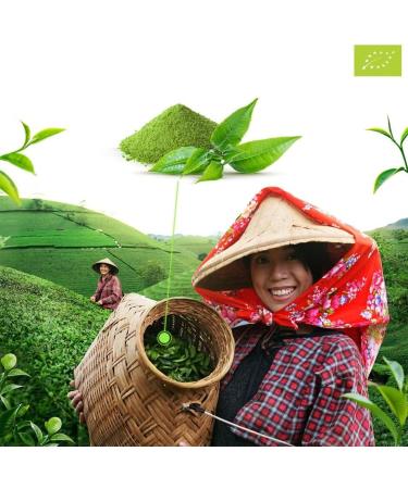 Mary Rose Matcha BIO 200g | Th vert en poudre du Japon | Sans additifs | Source de th ine | Stimulation naturelle - Buy Online on GoSupps.com