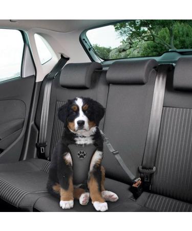 Buy Slowton Dog Harness with Seat Belt - Breathable Safety Harness for Puppies | Dark Gray S - International Shipping Available - Buy Online on GoSupps.com