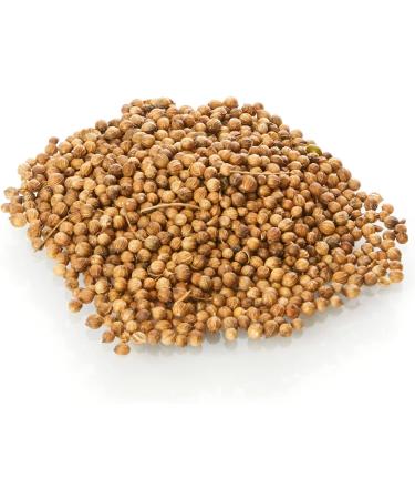 Old India Coriander Seeds 500g - Premium Quality Spice for Cooking | Buy Online - Buy Online on GoSupps.com