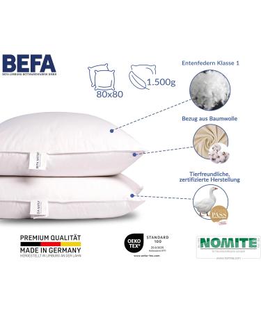 BEFA NATUR Made in Germany 80x80 cm Feather Pillow - Allergy-Friendly Oeko-Tex Certified 1500g - Downpass | Luxurious Comfort - Buy Online on GoSupps.com