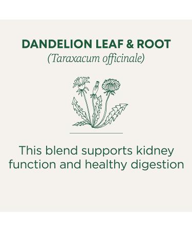 Traditional Medicinals Organic Roasted Dandelion Root Herbal Leaf Tea - 16 Tea Bags x 6 Packs - Buy Online on GoSupps.com