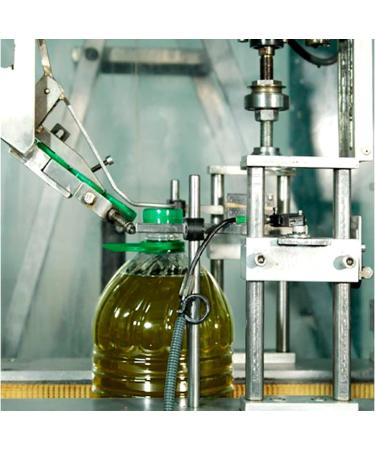 OROZUMO | Extra Virgin Olive Oil | Picual Variety + Arbequina | 5 Liter Bottle | Sierra M gina Ja n Andalusia - Buy Online on GoSupps.com