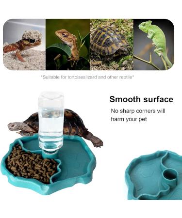 BEANPRECOY Reptile Water Dispenser Turtle Water Bowl 2 in 1 Reptile Automated Feeder Turtle Water Dispenser with Bottle for Turtles Hamsters Lizards Bearded Dragon Snake (Blue) - Buy Online on GoSupps.com