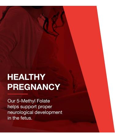 Protocol 5-Methyl Folate 1000mcg Supplement - 90 Tabs - Nerve Support - Bioavailable Folate - Buy Online on GoSupps.com