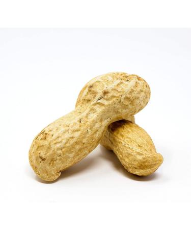 Premium USA Grown Raw Peanuts in Shell for Squirrels - Unsalted & Boiled Jumbo Peanuts for Birds - Green - Buy Online on GoSupps.com