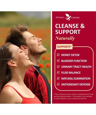 Kidney Cleanse Detox & Repair with Chanca Piedra & Uva Ursi Advanced Kidney Support Supplement for Healthy Kidney Function Urinary Tract & Bladder Wellness 60 Vegan Capsules - Buy Online on GoSupps.com