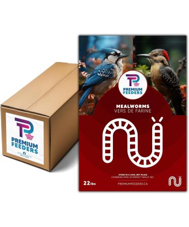 22lb - MEALWORMS by Premium Feeders Approx 350000+ Dried Mealworms - Chicken & Bird Feed - Meal worms Treats - High Protein Mealworm for Chickens Wild Birds & Small Animals (2 Bags of 11lb) - 10KG - Buy Online on GoSupps.com
