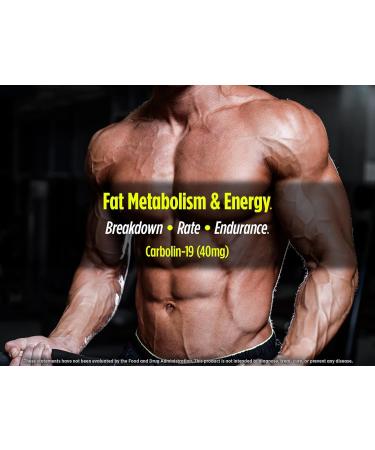 Biotest Carbolin 19 - Enhanced Forskolin for Greater Fat Loss* - 30 Servings - Buy Online on GoSupps.com