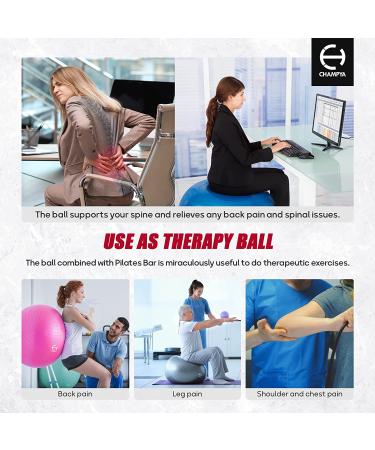 65cm Yoga Ball Chair for Pregnancy, Physical Therapy & Office - Stability Ball with Stainless Steel Pilates Bar - Black - Buy Online on GoSupps.com