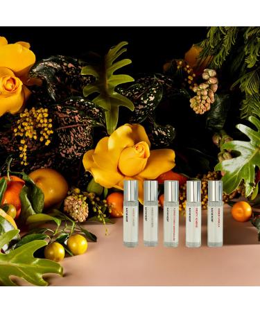 KatafaEDP - Discovery Set 5x 10ml -Perfume travel set- Diverse Fragrance Collection - Inspired by Luxury Scents - Long-Lasting - Trying different fragrance - Buy Online on GoSupps.com