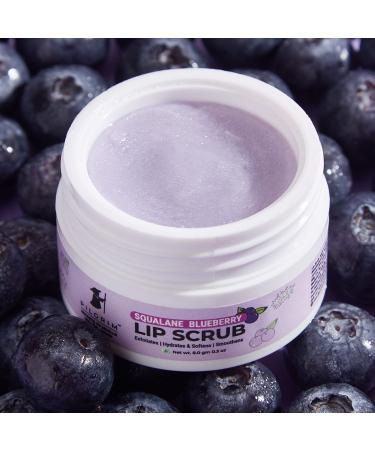 Pilgrim Spanish Squalane Lip Scrub (Blueberry) - Exfoliate & Hydrate Lips | Gentle Sugar & Shea Butter Formula for Smooth Soft Lips | 8 gm | Unisex - Buy Online on GoSupps.com
