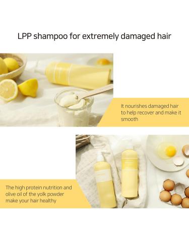 Valmona Egg Deep Nutrition Conditioner 16.23 Fl oz - Moisturizing Honey & Olive Oil Formula for Dry Damaged Hair - Buy Online on GoSupps.com