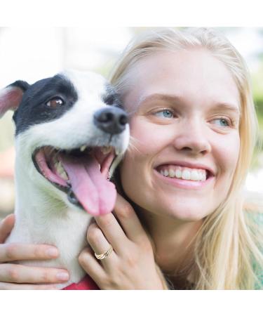 Magnetic Therapy Ring for Men & Women | 3500 Gauss Pain Relief for Arthritis & Migraines - Buy Online on GoSupps.com