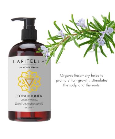 Buy Organic Hair Growth Set | Shampoo Conditioner & Treatment | Argan Oil & Herbs | NO GMO Sulfates Gluten Parabens - Buy Online on GoSupps.com