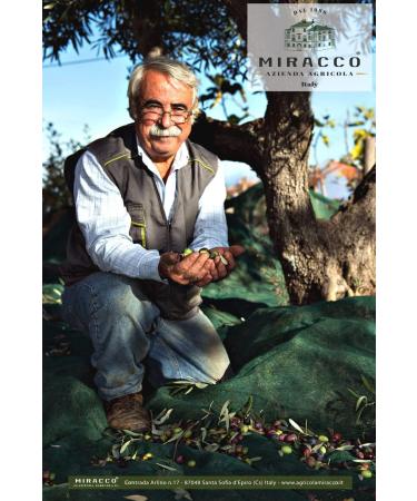 MIRACCO 100% Italian Organic Calabrian Extra Virgin Olive Oil Cold Pressed 500 ml - Buy Online on GoSupps.com