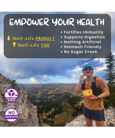 ODD BALLS Organic Energy Balls Cherry - Superfood Mushroom Snack - Running, Cycling, Hiking - Gels, Bars Alternative - Lion's Mane Focus, Cordyceps Energy - Vegan, Gluten Free Snacks for Kids & Adults (8.5 oz, Cherry) Cherr  - Buy Online on GoSupps.com
