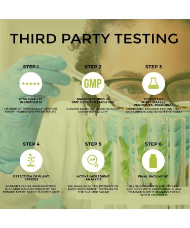 Organic Stone Breaker Chanca Piedra 400mg Capsules | Kidney Cleanse & Gallbladder Support | Detox Urinary Tract - Buy Online on GoSupps.com