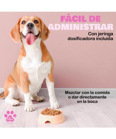 DRGREENVET DRGREEN Dermagreen Dog - Buy Online on GoSupps.com