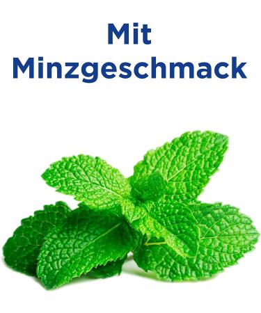 elmex Bamboo Toothpicks with Mint Flavor - 96 Toothpicks (Pack of 3) | Eco-Friendly Oral Care - Buy Online on GoSupps.com