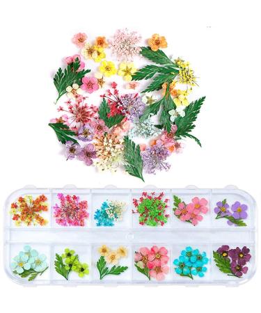 1 Box Dried Flowers for Nail Art  UNIME 16 Colors Dry Flowers Mini Real Natural Flowers Nail Art Supplies 3D Applique Nail Decoration Sticker for Tips Manicure Decor (Mixed Gypsophila Flowers)