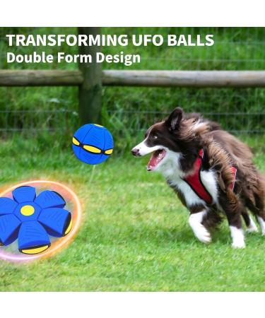 Shop Premium Flying Frisbee & Saucer Balls for Dogs | Light Blue Pet Toys - Durable & Fun! - Buy Online on GoSupps.com