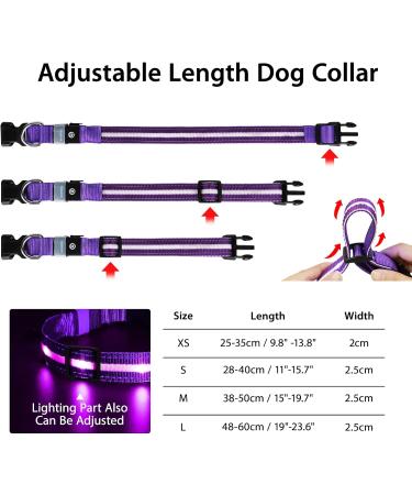 Buy Masbrill LED Dog Collar - Waterproof Luminous Safety Collar with 3 Flashing Lights for Small to Large Dogs (Purple 48-60cm) | International Shipping Available - Buy Online on GoSupps.com
