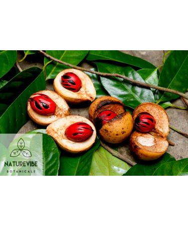 Naturevibe Botanicals Organic Nutmeg Whole 1.76oz (50gm) | Non-GMO, Gluten Free Indian Spice - Buy Online on GoSupps.com