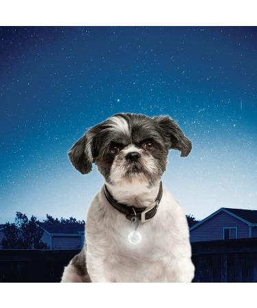 NITEIZE PetLit LED Collar Light - Enhanced Visibility for Pets - 11.5 x 2 x 0.8 - Buy Online on GoSupps.com