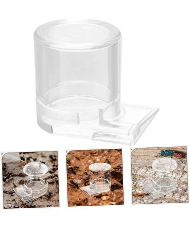 HANABASS Pet Water Feeder Ant Nest Entrance Feeder Ant Waterer for Garden Ant Watering Cup Ant Water Drinking Cup Ant Water Feeder Ant Feeder Station Ants Feeding Device Ant Bowl - Buy Online on GoSupps.com